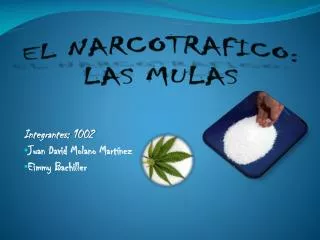 el narcotrafico las mulas