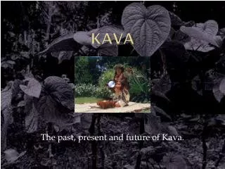 Kava