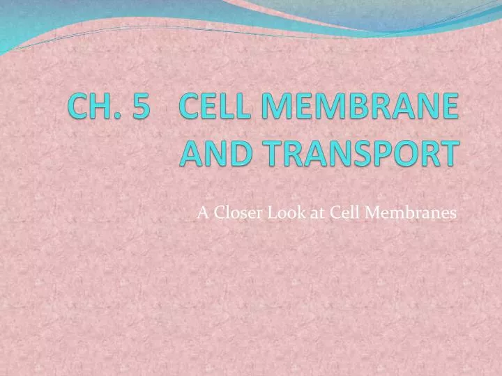 ch 5 cell membrane and transport