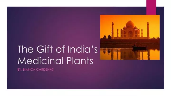 the gift of india s medicinal plants