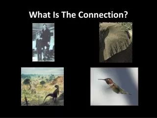 What Is The Connection?