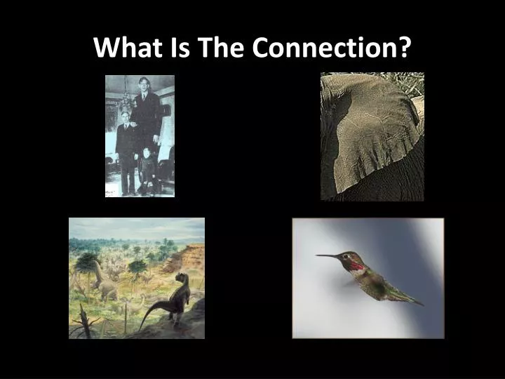 what is the connection
