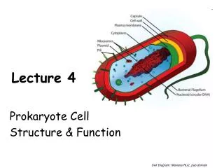 Lecture 4