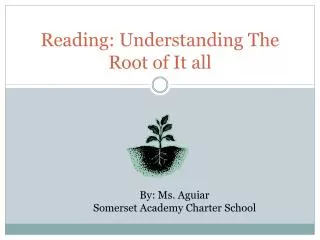 Reading: Understanding The Root of It all