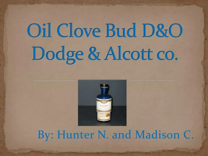 oil clove bud d o dodge alcott co