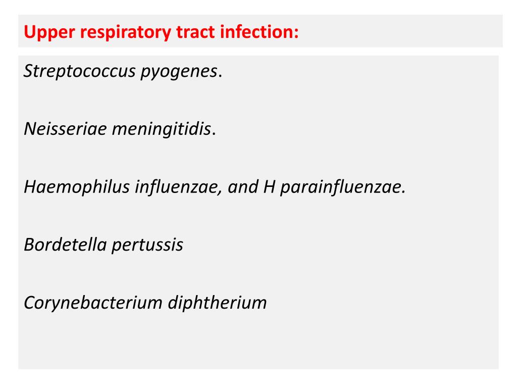 PPT - Upper respiratory tract infection: PowerPoint Presentation, free ...