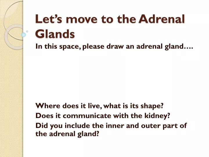 let s move to the adrenal glands
