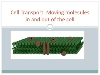 Cell Transport: Moving molecules in and out of the cell