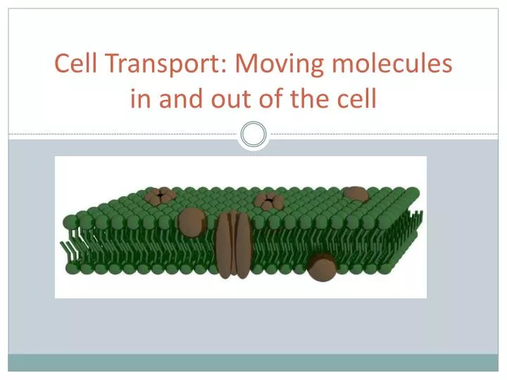 cell transport moving molecules in and out of the cell
