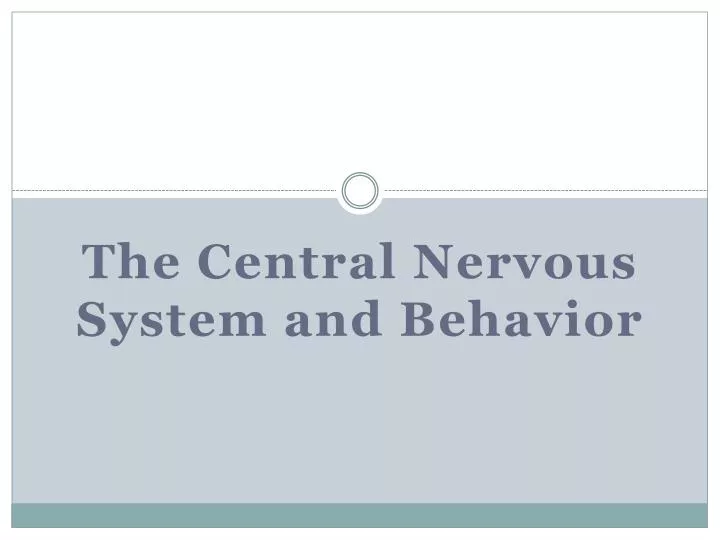 the central nervous system and behavior