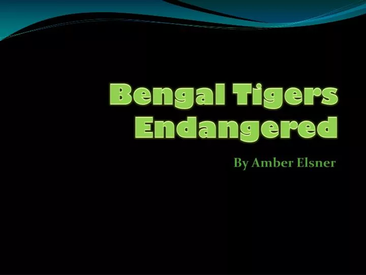 bengal tigers endangered