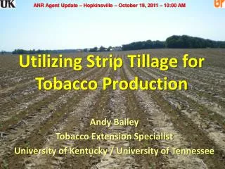 Utilizing Strip Tillage for Tobacco Production