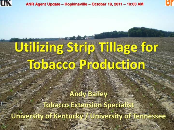 utilizing strip tillage for tobacco production