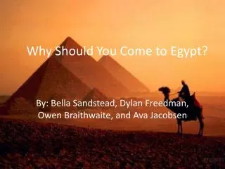 Why Should You Come to Egypt?