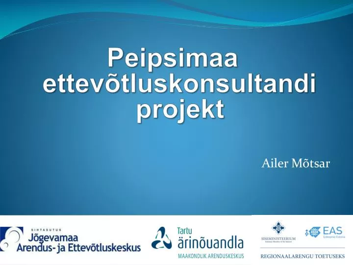 peipsimaa ettev tluskonsultandi projekt