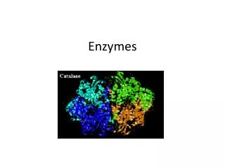 Enzymes