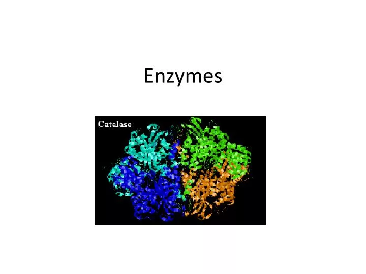 enzymes