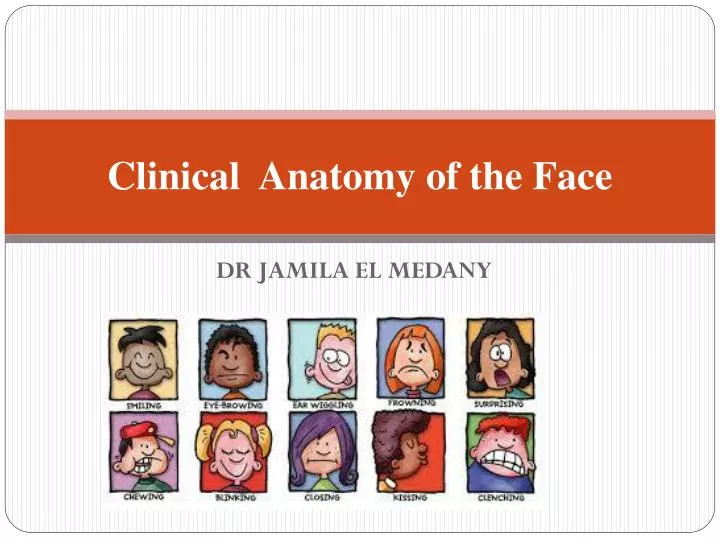 clinical anatomy of the face