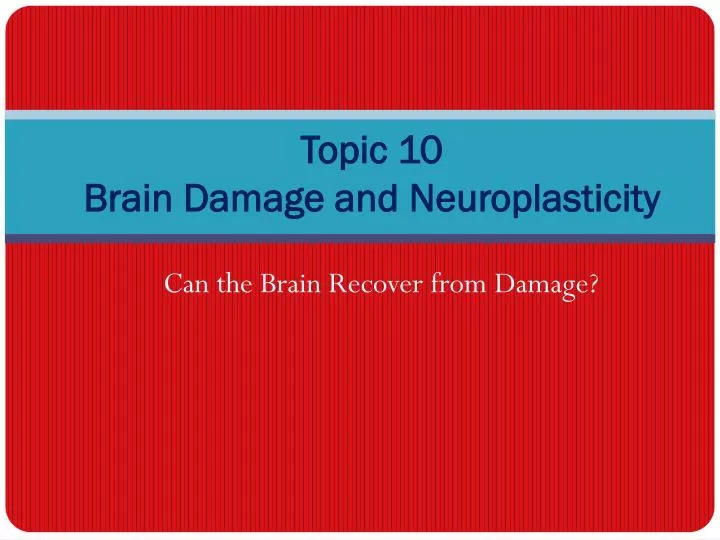 topic 10 brain damage and neuroplasticity