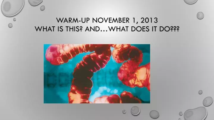 warm up november 1 2013 what is this and what does it do