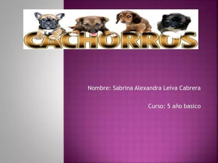 nombre sabrina alexandra leiva cabrera curso 5 a o basico