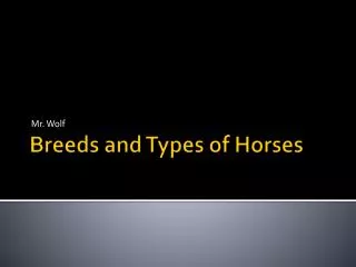 Breeds and Types of Horses
