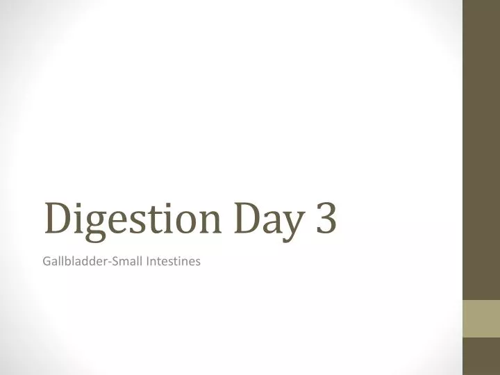digestion day 3