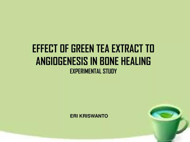 effect of green tea extract to angiogenesis in bone healing experimental study
