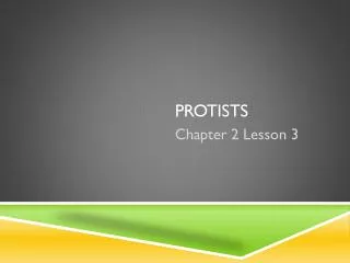protists