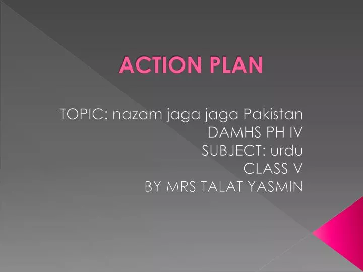 action plan