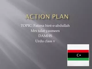 action plan