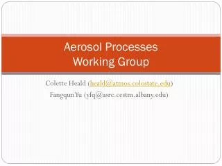 Aerosol Processes Working Group