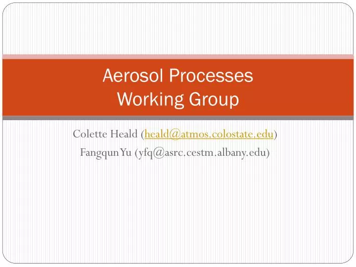 aerosol processes working group