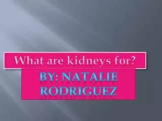 What are kidneys for?