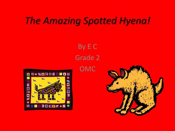 the amazing spotted hyena