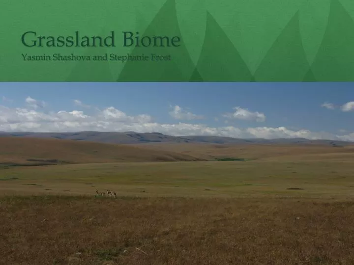 grassland biome