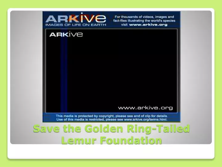 save the golden ring tailed lemur foundation