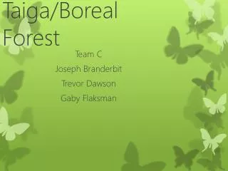 Taiga/Boreal Forest
