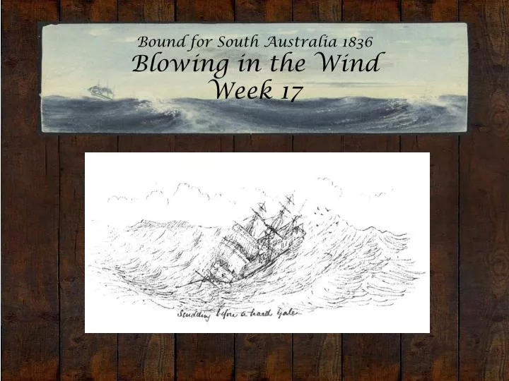 bound for south australia 1836 blowing in the wind week 17