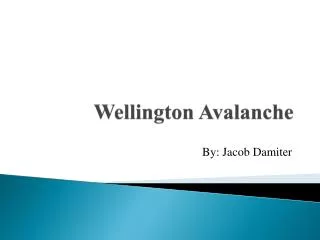 Wellington Avalanche