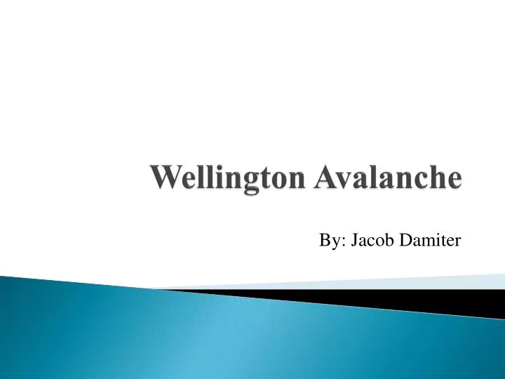wellington avalanche