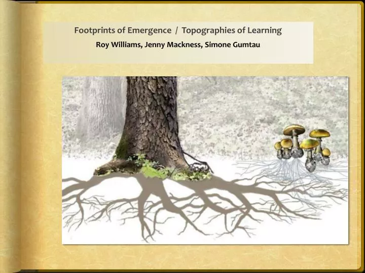 footprints of emergence topographies of learning roy williams jenny mackness simone gumtau