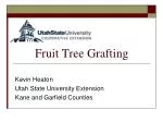 Fruit Tree Grafting - slide 1