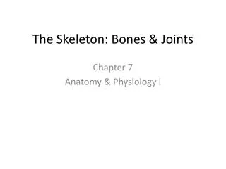 The Skeleton: Bones &amp; Joints