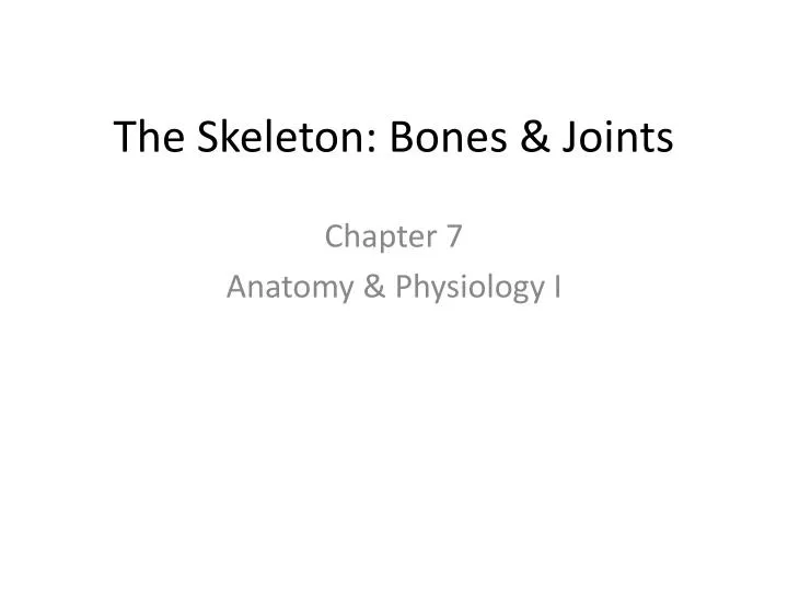 the skeleton bones joints