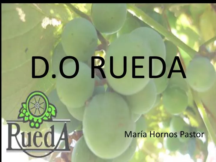 d o rueda