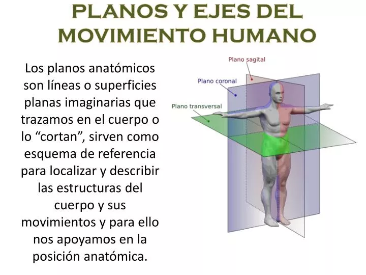 planos y ejes del movimiento humano