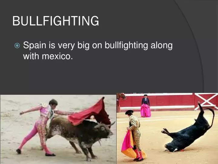 bullfighting