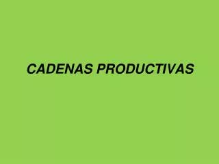 cadenas productivas
