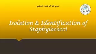 Isolation &amp; Identification of Staphylococci